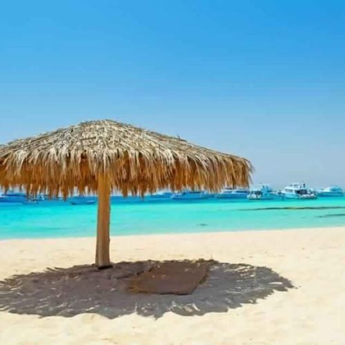 sharm elulli