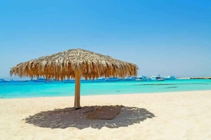 sharm elulli